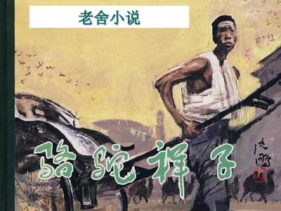 雏鸟幼儿小学生短视频